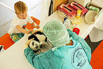 Beim Teddybär-Krankrankenhaus können Kinder ihre kranken oder verletzten Kuscheltiere behandeln lassen