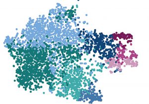 Einzelzellanalyse von Mikrogliazellen: Jeder Punkt zeigt eine Zelle und die Farben signalisieren verschiedene Gruppen von Mikrogliazellen, wie sie im menschlichen Gehirn vorkommen.
Bildrechte: Roman Sankowski / Universitätsklinikum Freiburg