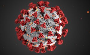 Diese Illustration, die in den Centers for Disease Control and Prevention (CDC) erstellt wurde, zeigt die ultrastrukturelle Morphologie, die Koronaviren aufweisen. Man beachte die Stacheln, die die äußere Oberfläche des Virus zieren und die bei elektronenmikroskopischer Betrachtung das Aussehen einer das Virion umgebenden Korona vermitteln. Ein neuartiges Coronavirus namens SARS-CoV-2 (Severe Acute Respiratory Syndrome Coronavirus 2) wurde als Ursache für den Ausbruch einer Atemwegserkrankung identifiziert, die erstmals 2019 in Wuhan, China, festgestellt wurde. Die durch dieses Virus verursachte Krankheit wurde Coronavirus-Krankheit 2019 (COVID-19) genannt.

Alissa Eckert, MS; Dan Higgins, MAMS