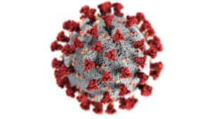 Das Foto zeigt das Corona-Virus