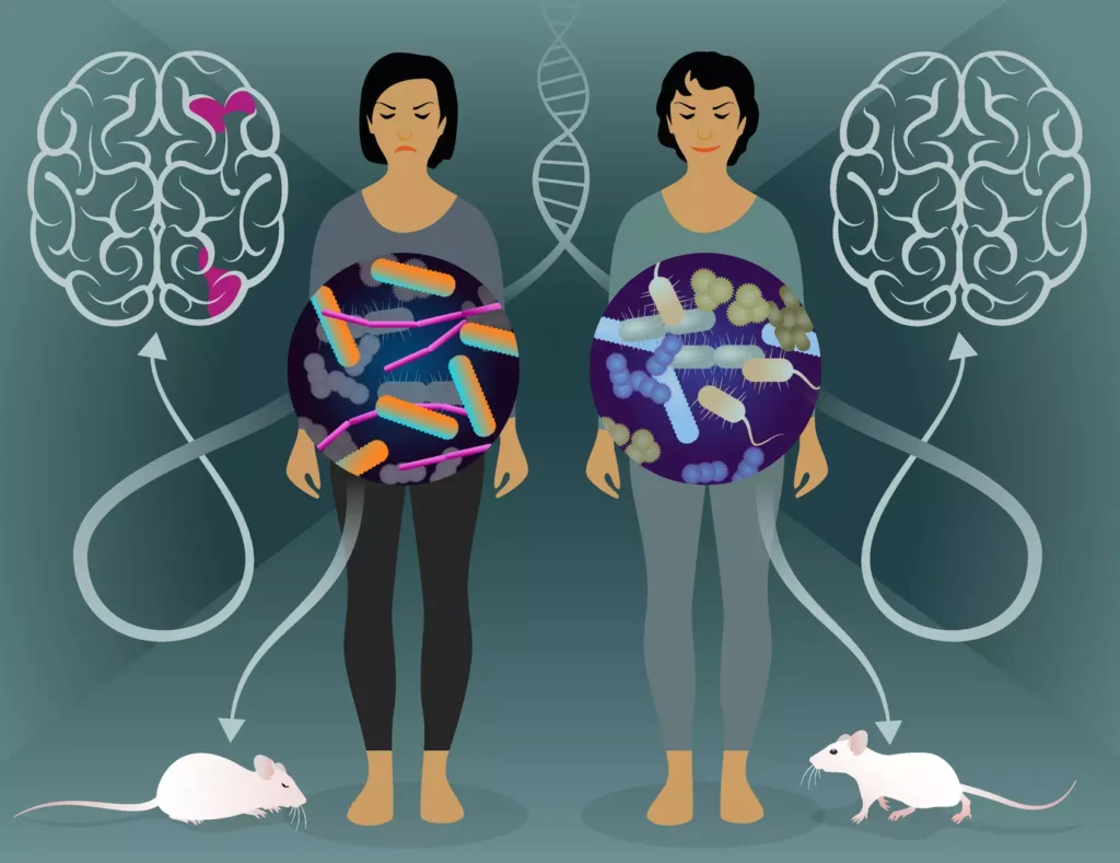 Das Bild zeigt 2 Frauen und 2 Mäuse. Es geht um die Darmflora.
© MPI für biologische Intelligenz / Julia Kuhl
